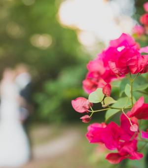 barbados wedding bellevue plantation garden 